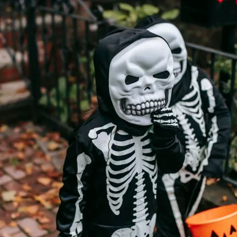 Seasonal